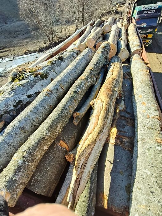 Lemn foc fag 420 mc cantitate corecta