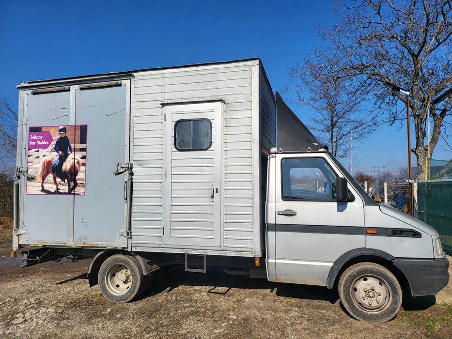 Iveco transport cai animale