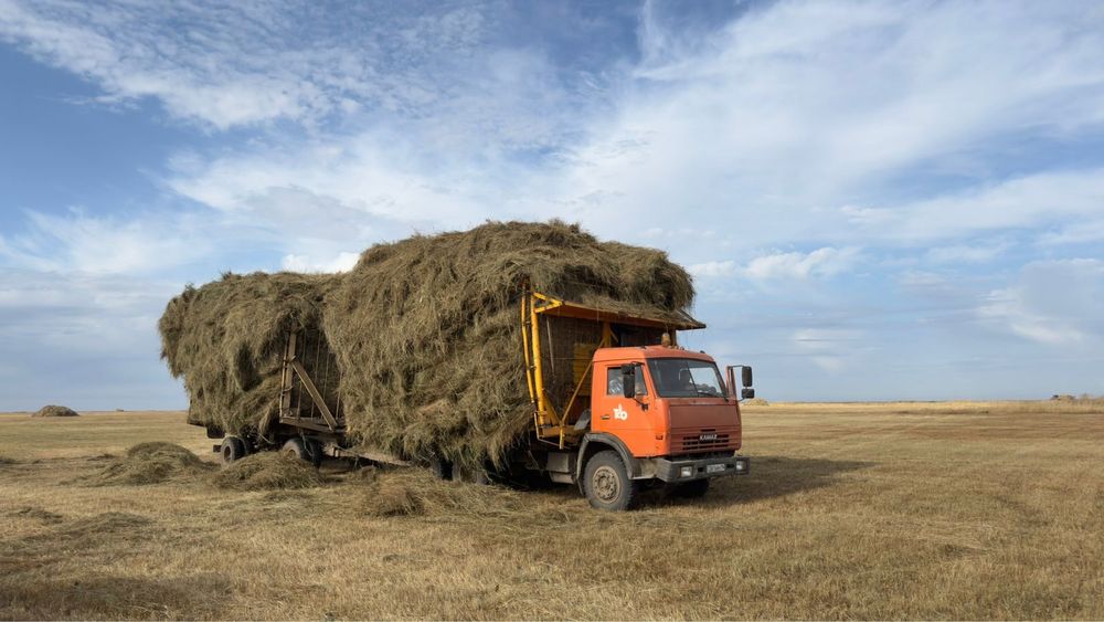 Продам сено луговое