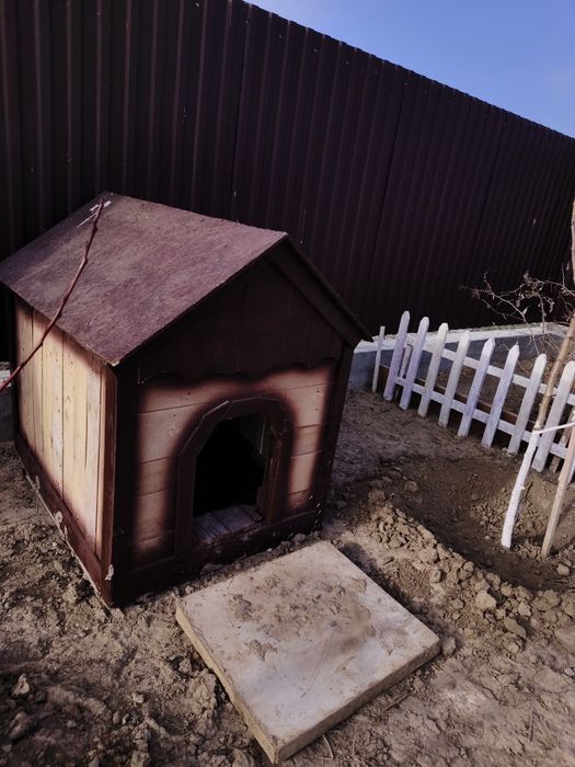 Будка новый для собак