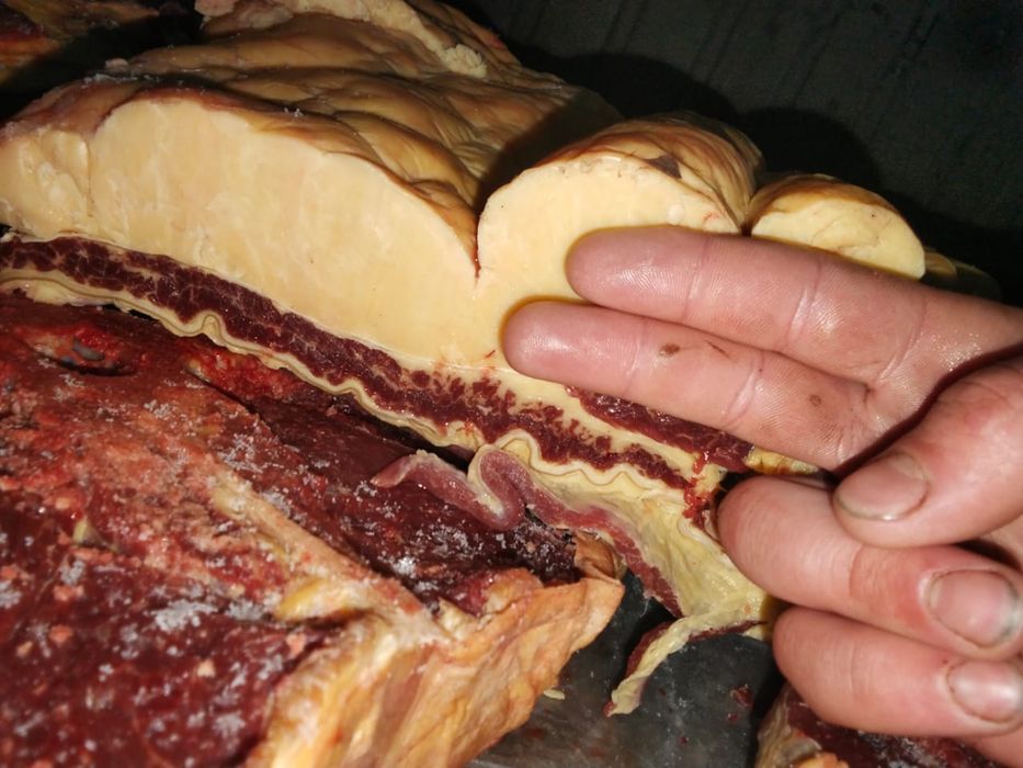 Мясо конины частями !