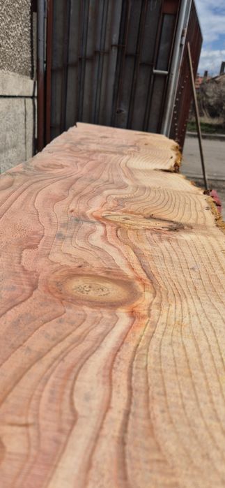 Янове от секвоя 3.30дължина СУХИ