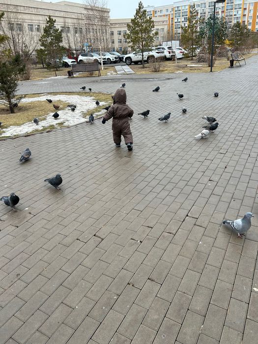 Зимний детский комбинезон