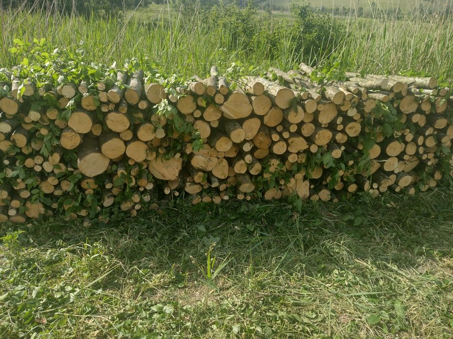 Lemne de foc esență