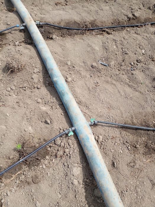 Продам христианское хозяйсво