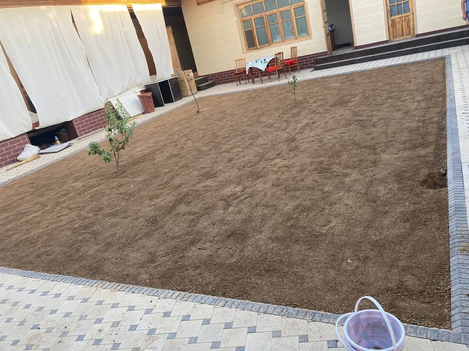 Газон рулонвый  tayyor gazon ekish.   17000