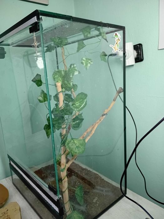 Терариум терароум терариум