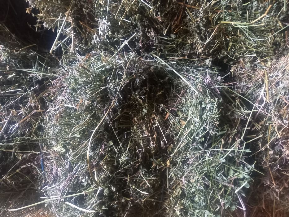 Vand baloti de lucerca