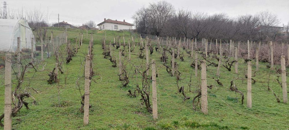 Продава се Къща в с. Айдемир, Област Силистра - 106 кв.м за 193 €/кв.м - Снимка #7