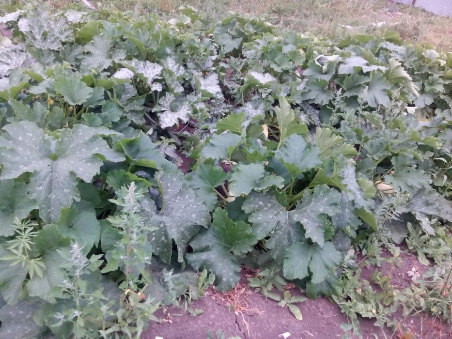 Продажа участка!