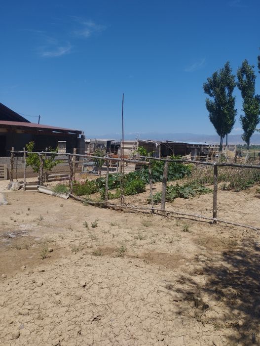 фазенда уй сатылады