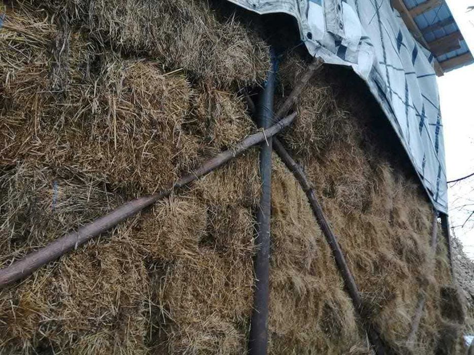 Vand 800 de balotii județul Bacău