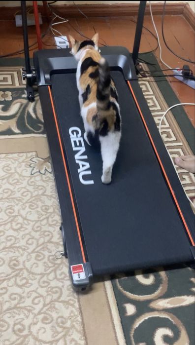 Беговая дорожка genau ux10 rt2-13a