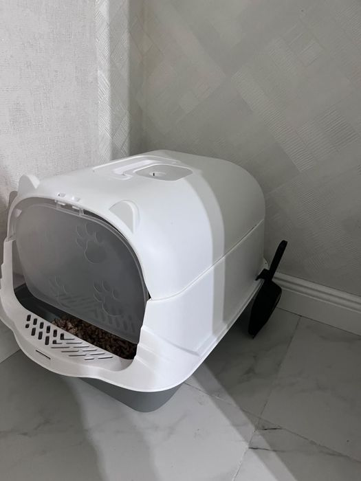 Мысық бар 2ай еркек мысық