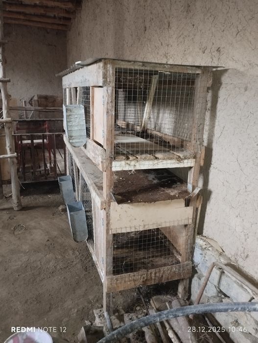 Куёнлар учун Уй сотилади