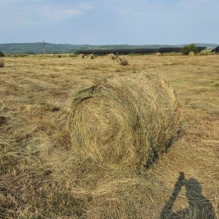 Vând baloti fan amestec cu lucerna.