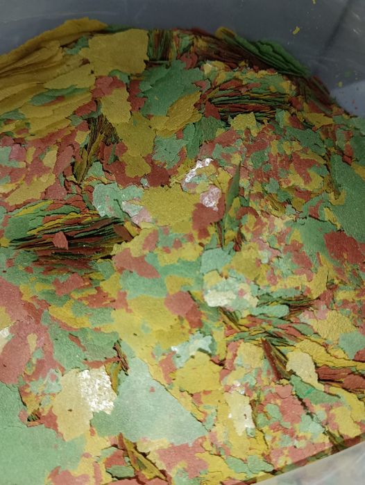 Разные корма для рыбок