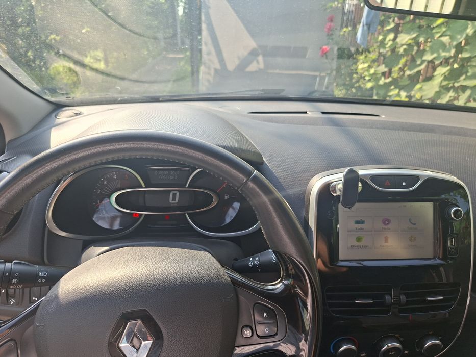 Renault      clio
