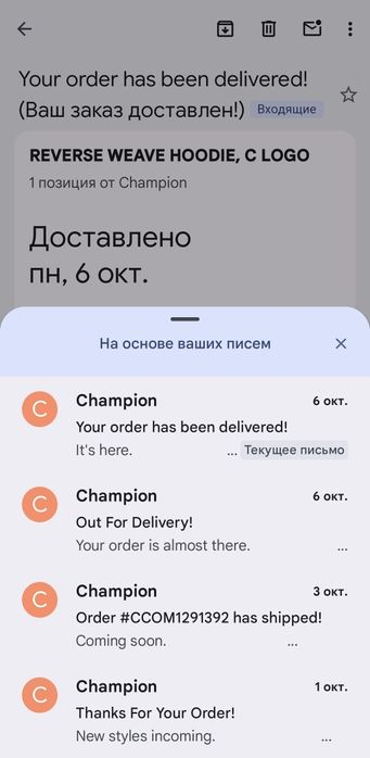 Champion Reverse Weave Hoodie