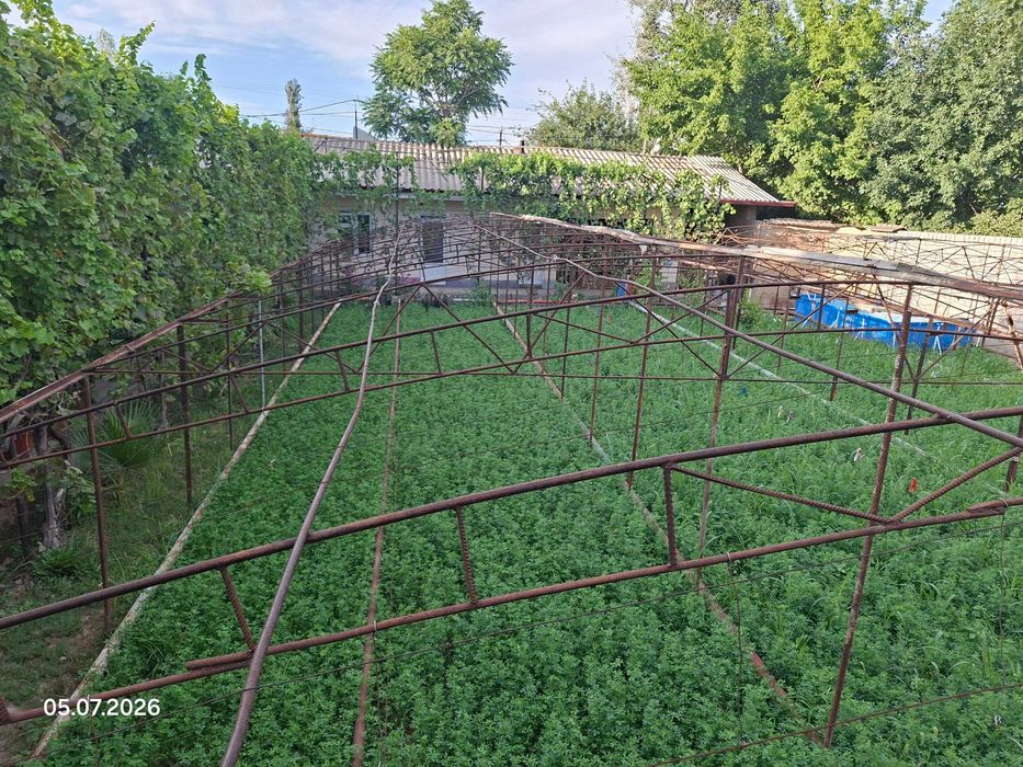 Яшнобод туманида Иссикхона сотилади Тошкент шахар Рохат Олмос махалла
