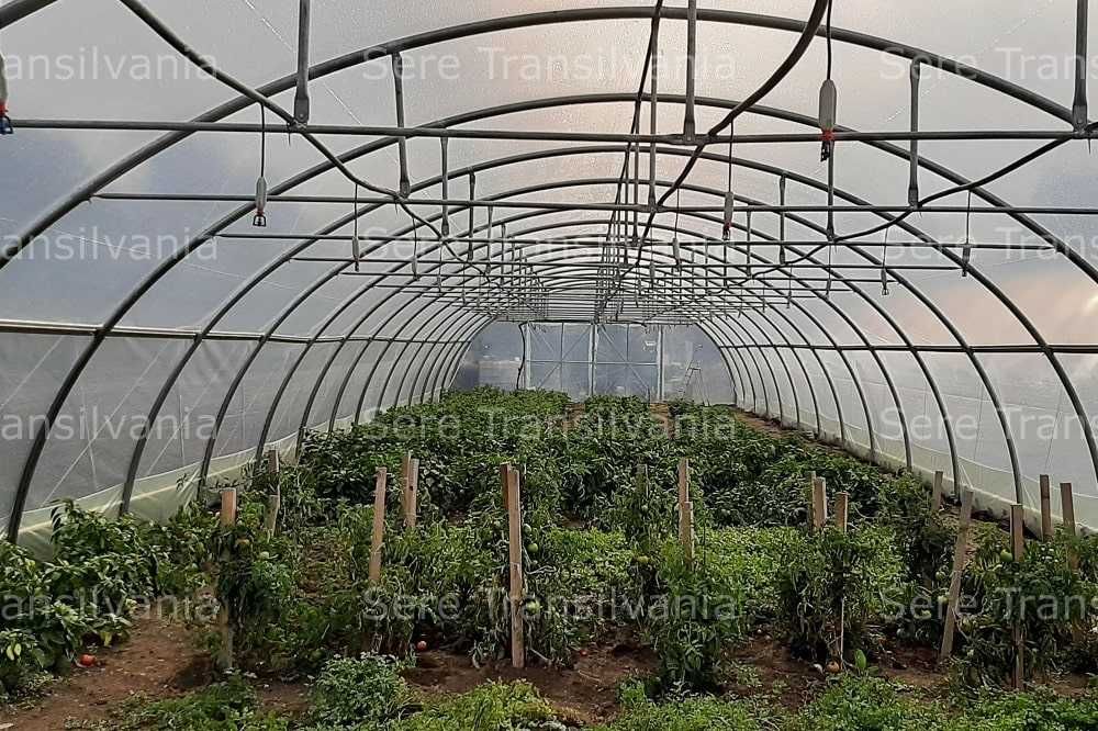 Solar profesional tip tunel