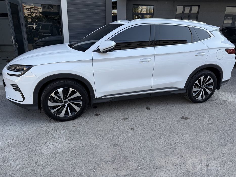 Byd Champion sotiladi 605 tali