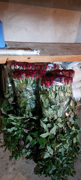 Атиргул кўчатлар