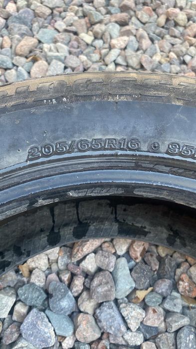 Жаздык донгелектер