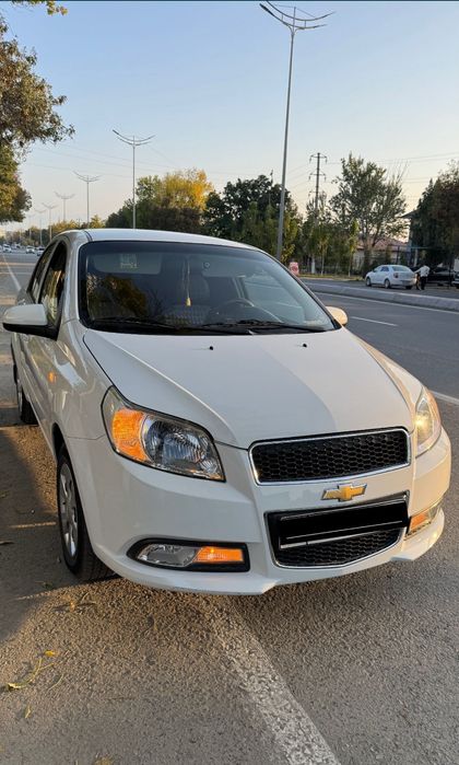 Nexia 3 kraska tozza radnoy