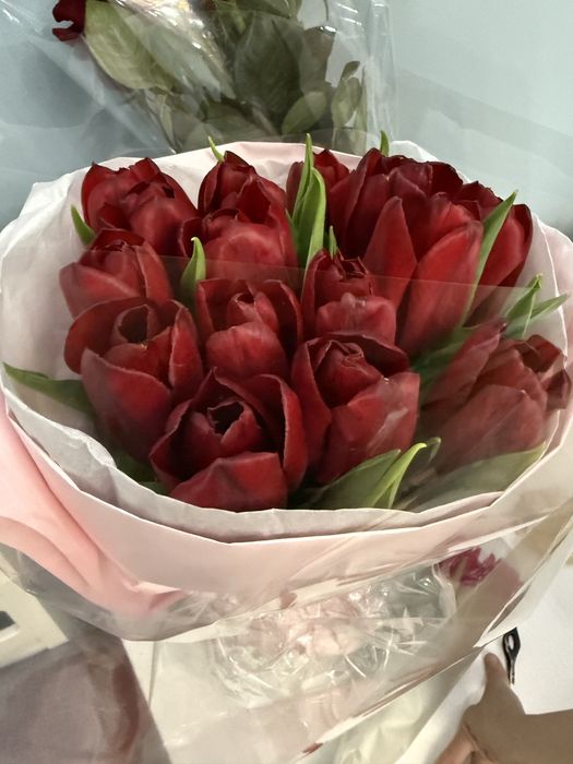 Тюльпаны красные