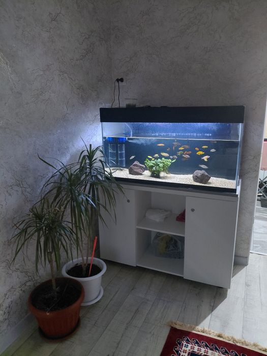 Продам аквариум,