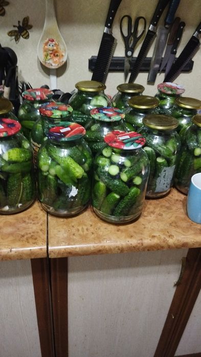 Продам солёные огурцы!