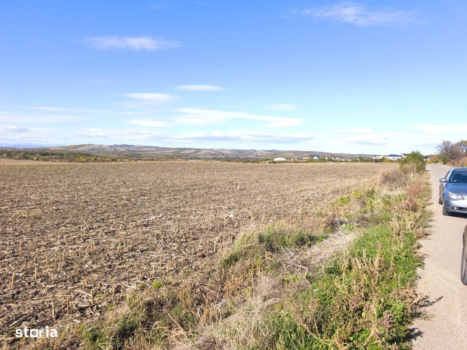 ROANDY - Teren cu potential excelent de investitie-Bucov-Bighilin