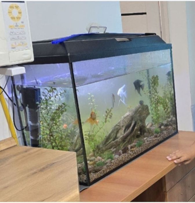 Аквариум продам.
