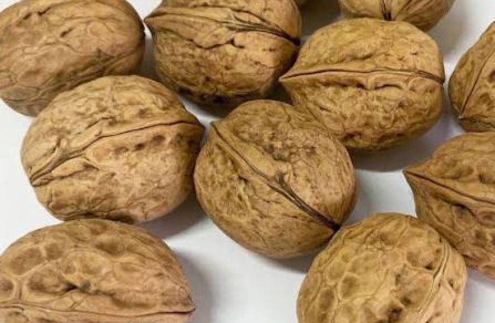 Жаңғақ 550 теңгеден