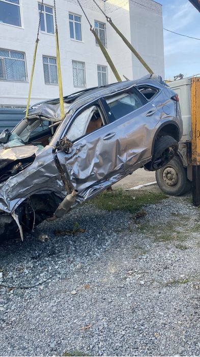 Haval H6 2024 год на разбор