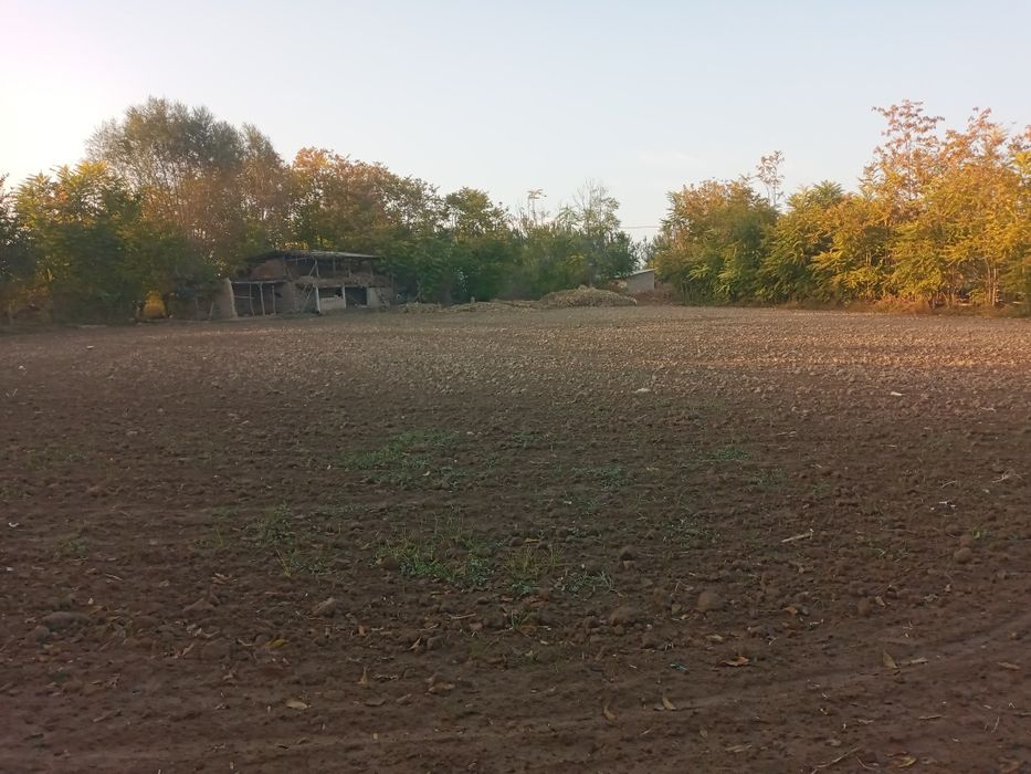 Boka tumani МФИ дехқончилик чорвочиликка қулаи  жои