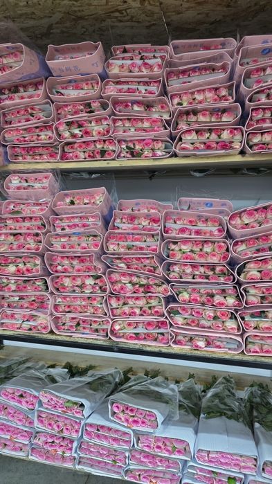 Розы 390тг, пионы цветы букеты