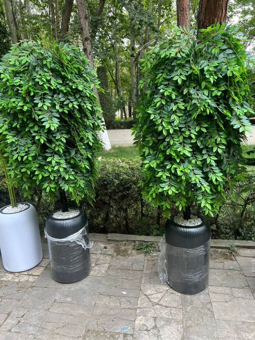 Искусственный цветы и деревья