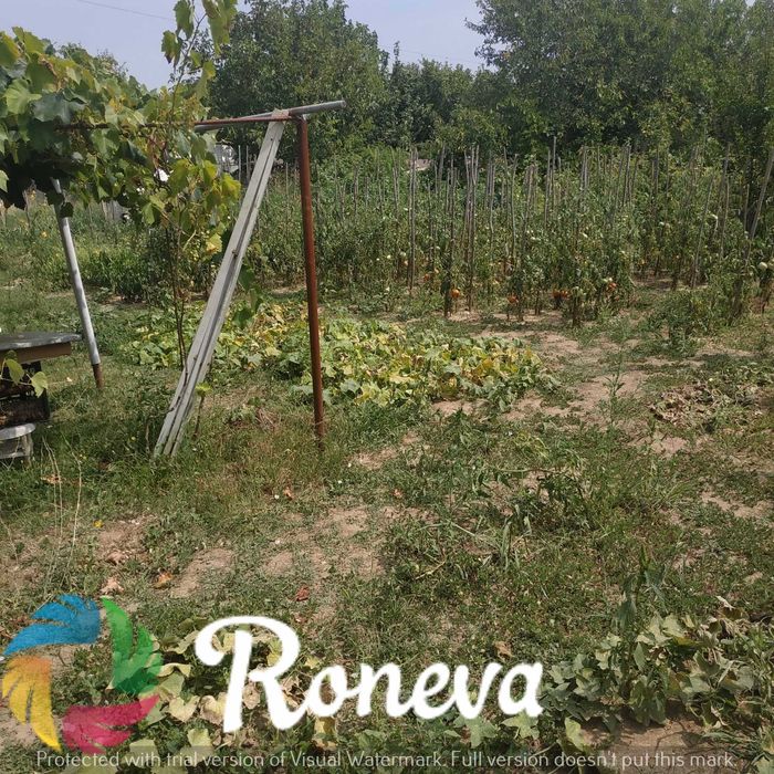 Продава се Къща в с. Водица, Област Варна - 55 кв.м за 580 €/кв.м - Снимка #9