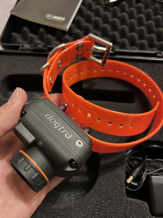 Электроошейник Dogtra 2700 T&B