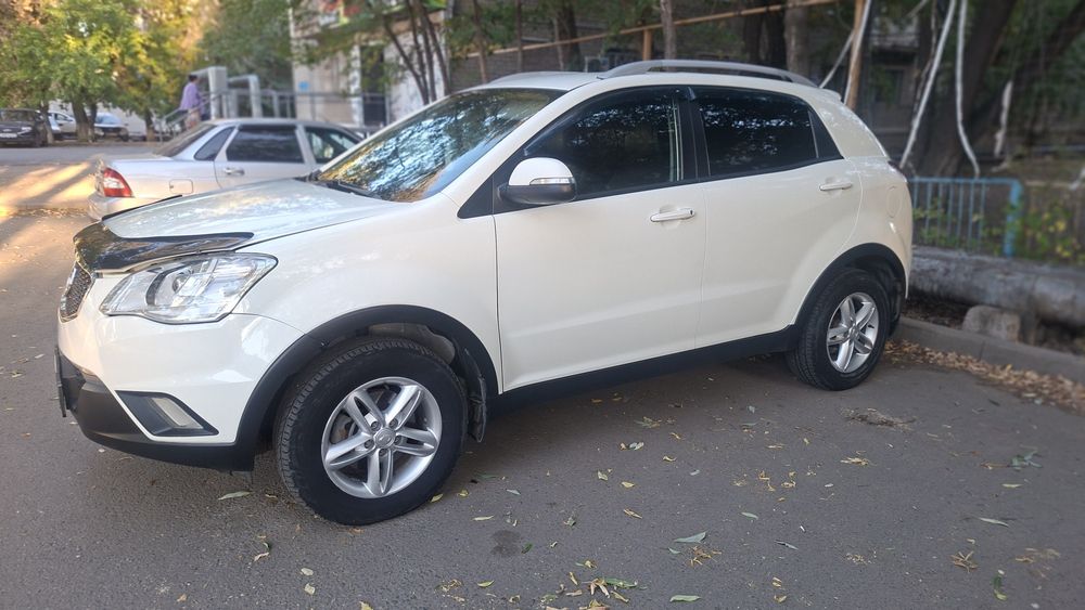 Ssangyong new action