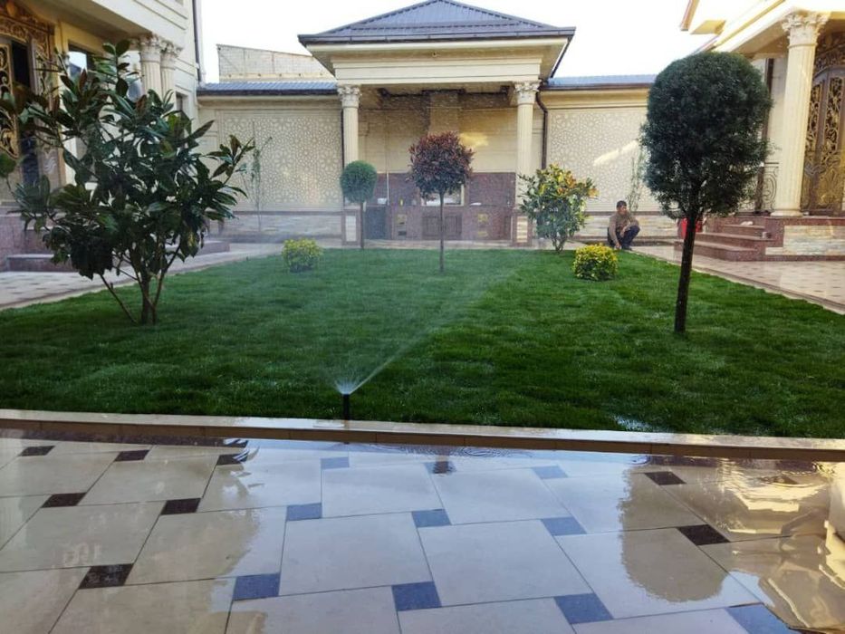 Gazon ekish xizmati.