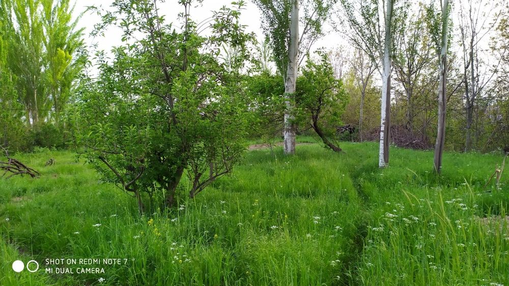 Ер участкаси сотилади