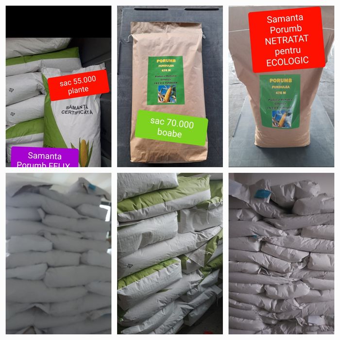 Samanta Certificata Porumb boabe sau Siloz, Floarea soarelui pe erbicidare EXPRESS