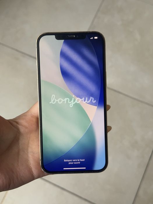 Iphone 12 pro max 256 gb