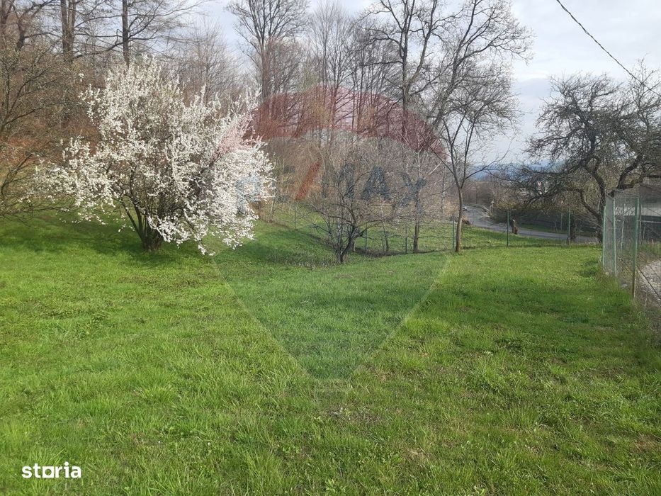 Casă / Vilă cu 7 camere în zona Bran-Tohanita, Brasov