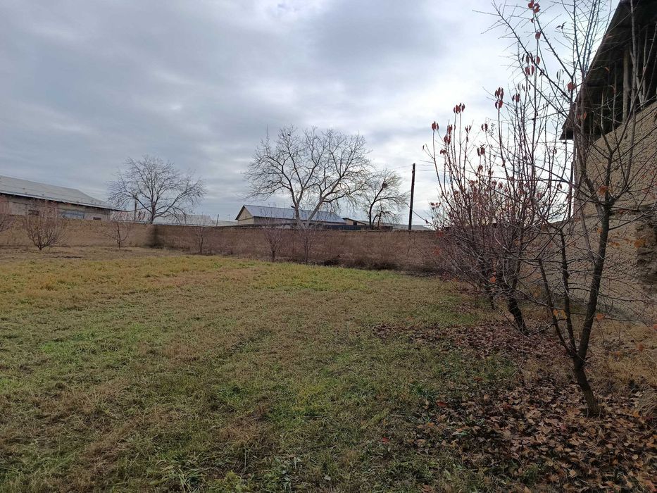 Яангийол тумани Тинчли махаласи М39 1 километр 6 сотихли жои сотилади