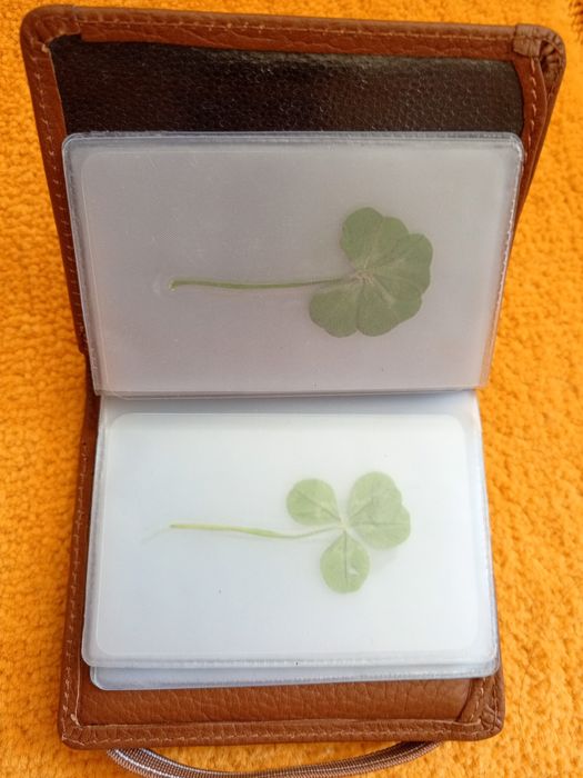 Четирилистна детелина