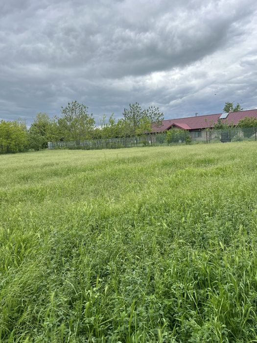 Teren 1410 mp  intravilan in comuna Ileana, jud. Calarasi, aprox 45 km de Bucuresti